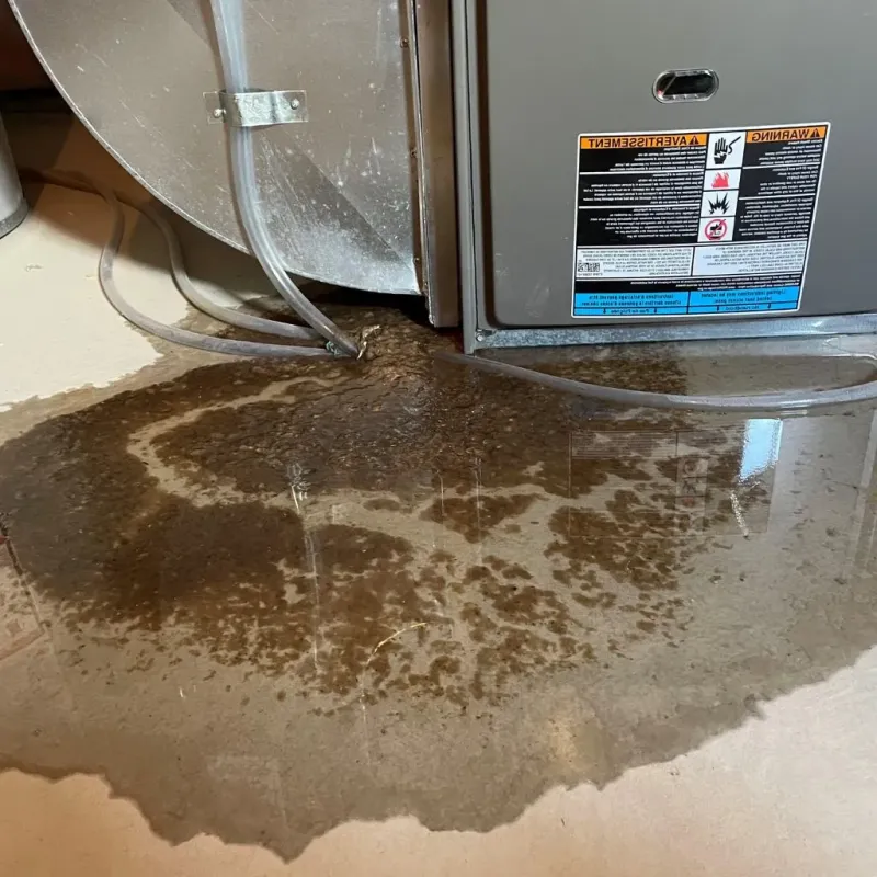 Pipe Burst and Leak Restoration in Scott County, IN