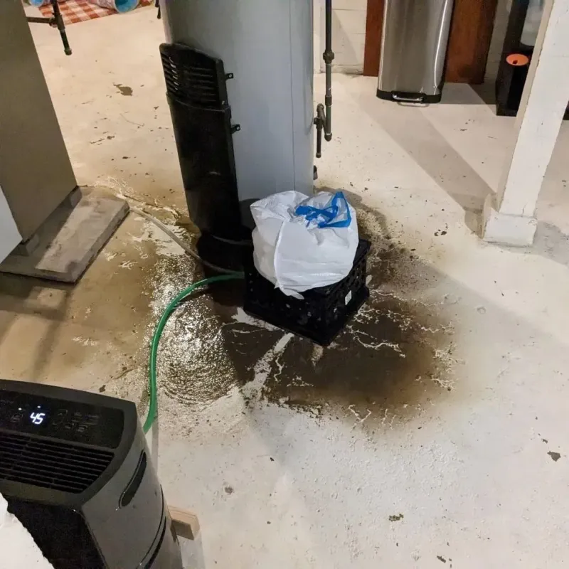 Sewage Backup Cleanup Service in Scott County, IN